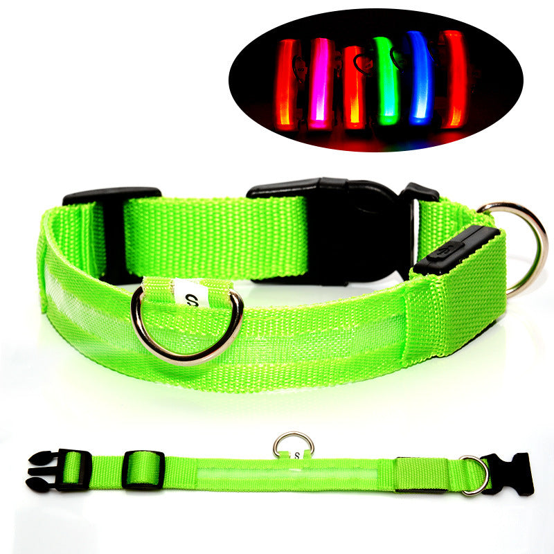 USB Rechargeable LED Dog Collar with Adjustable Sizes