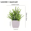 Simulation of small potted plants