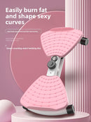 fitness twist machine