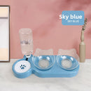 Cat Bowl Automatic Drinking and Feeding Basin