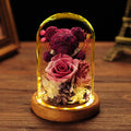Valentine's Day Gift Everlasting Flower Bear Moss Glass Cover Finished Gift Box for Girlfriend Birthday Ornament Dried Flowers Roses - TrendTrove