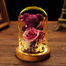 Valentine's Day Gift Everlasting Flower Bear Moss Glass Cover Finished Gift Box for Girlfriend Birthday Ornament Dried Flowers Roses - TrendTrove