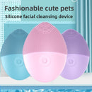 Electric Face Washer