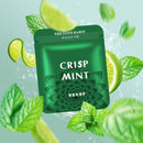 Aromatherapy Smoking Cessation Refill Stick