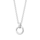 Stainless Steel Zircon Feather Pendant Necklace