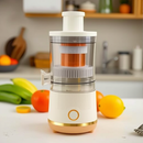 household juicer