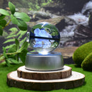 Night Light Decoration