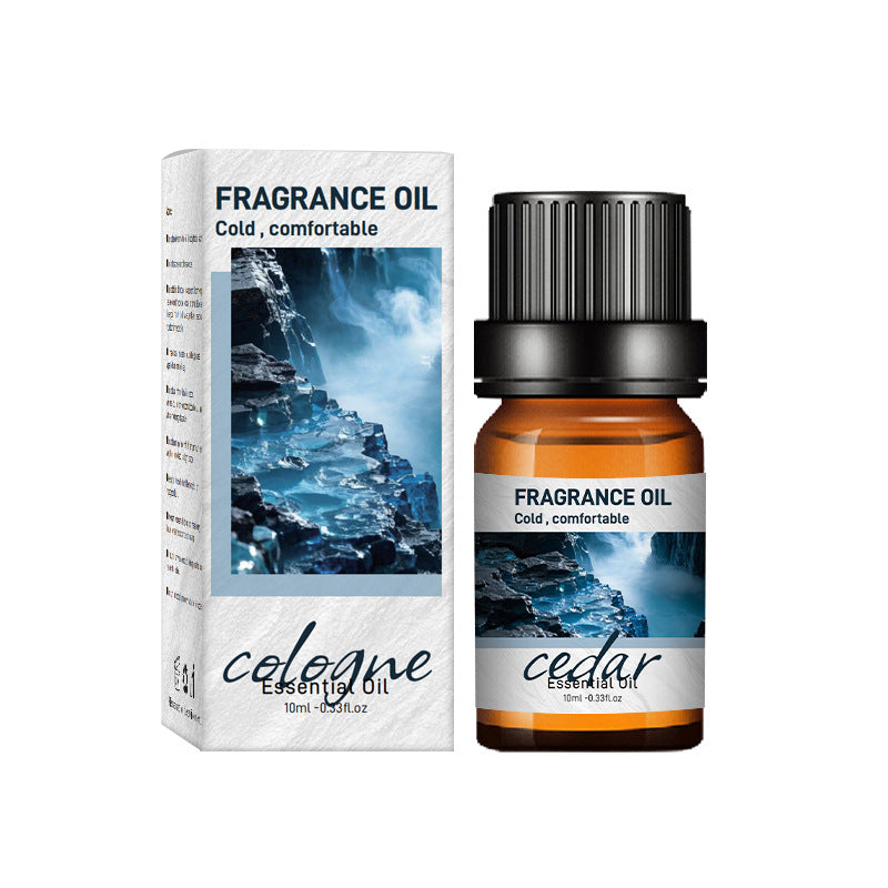 Home Humidifier Aromatherapy Diffuser Stone Essential Oil