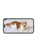 Automatic Smart Pet Feeder with Timer and Remote Control