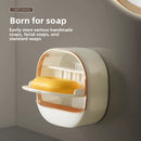 Wall-Mounted Soap Dish with Drip-Dry Design