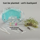 Mini Ant World Interactive Habitat Toy