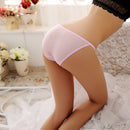 Padded net lingerie for women