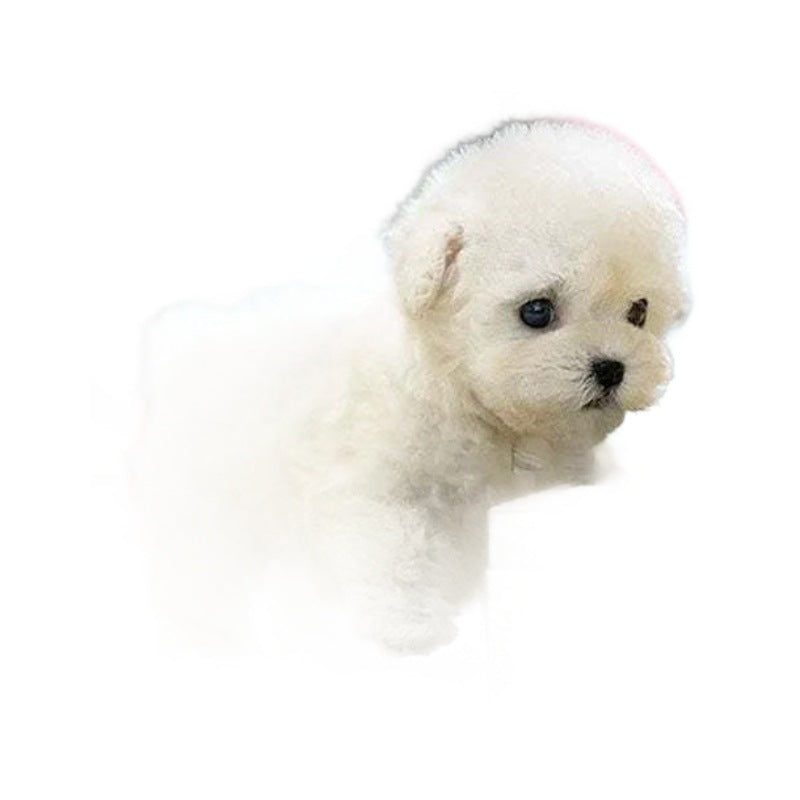 Realistic Robot Puppy Plush Toy