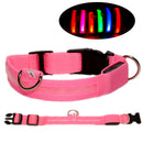 USB Rechargeable LED Dog Collar with Adjustable Sizes
