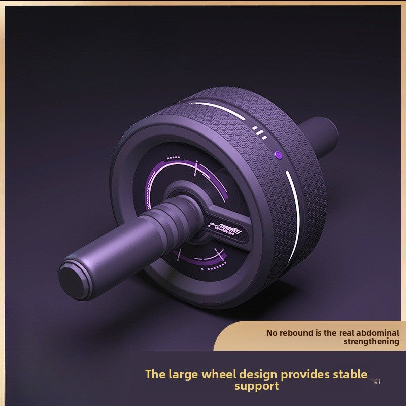 Double-wheel non-rebound abdominal health wheel