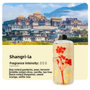 aromatherapy machine