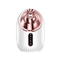 Hot Cold Spray Face Steamer Nano Hydration