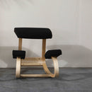 Human Physiology Health Care Kneeling Chair