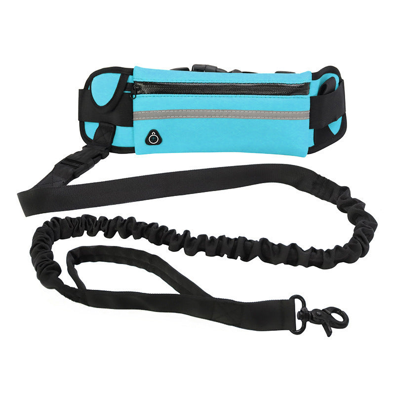 Pet belt leash