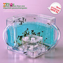 Mini Ant World Interactive Habitat Toy