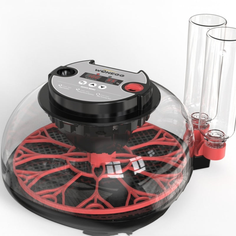 Mini Small Household Egg Incubator