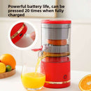 household juicer