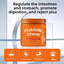 Pet Probiotic Soft Chewable Granules for Digestive Health