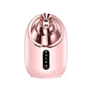Hot Cold Spray Face Steamer Nano Hydration