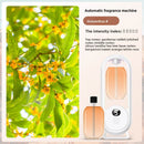 Automatic fragrance sprayer