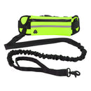 Pet belt leash