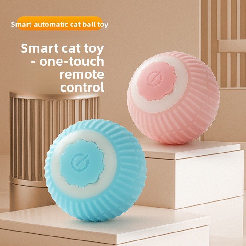 pet toy ball