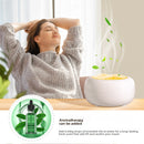 Ultrasonic Essential Oil Humidifier
