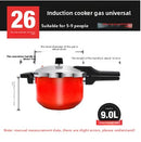 Stainless steel pressure cooker