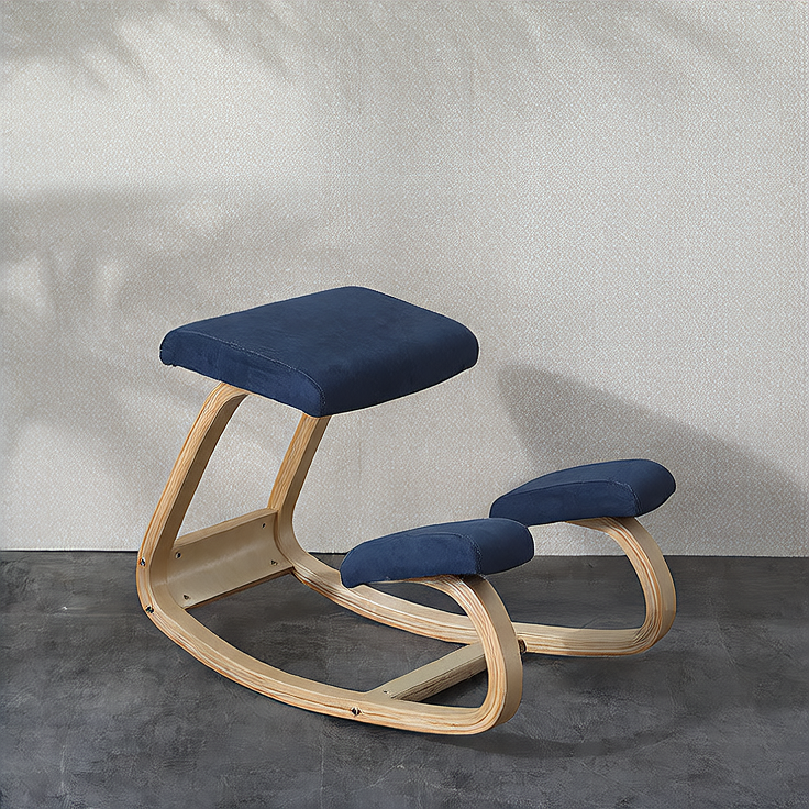 Human Physiology Health Care Kneeling Chair