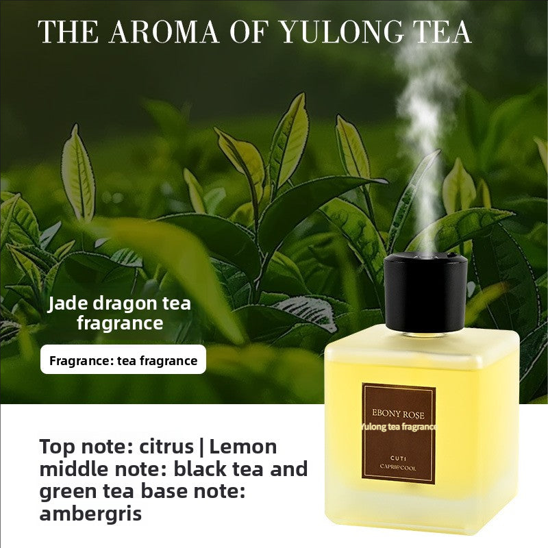 Home Fragrance Diffuser with 10 Scents