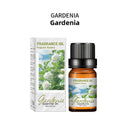 Home Humidifier Aromatherapy Diffuser Stone Essential Oil