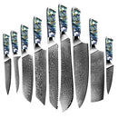 Damascus Steel Kitchen Knife Set with Abalone Shell Handle