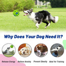 Durable Sound-Making Dog Chew Toy