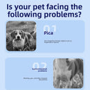 Pet Probiotic Soft Chewable Granules for Digestive Health