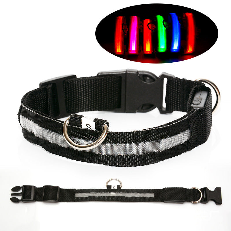 USB Rechargeable LED Dog Collar with Adjustable Sizes