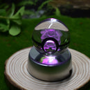 Night Light Decoration