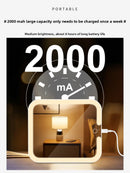 Large capacity makeup bag with mirror and lamp