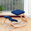 Human Physiology Health Care Kneeling Chair