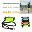 Pet belt leash