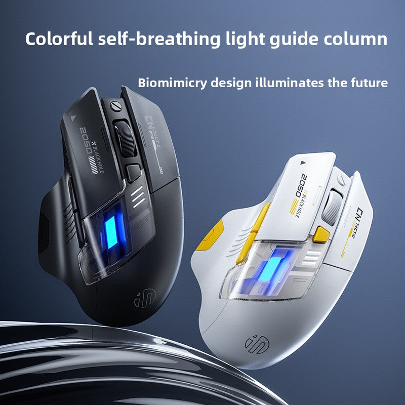 Wireless RGB Lighting Bluetooth Mouse