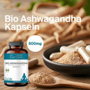 Herbal Supplement Capsules