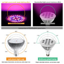LED Plant Growth Light Full Spectrum E27 30W 50W 80W