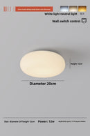LED ceiling lamp