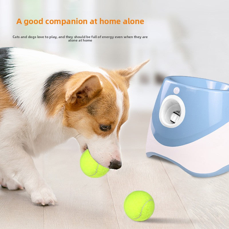 Automatic Pet Ball Launcher