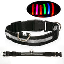 USB Rechargeable LED Dog Collar with Adjustable Sizes